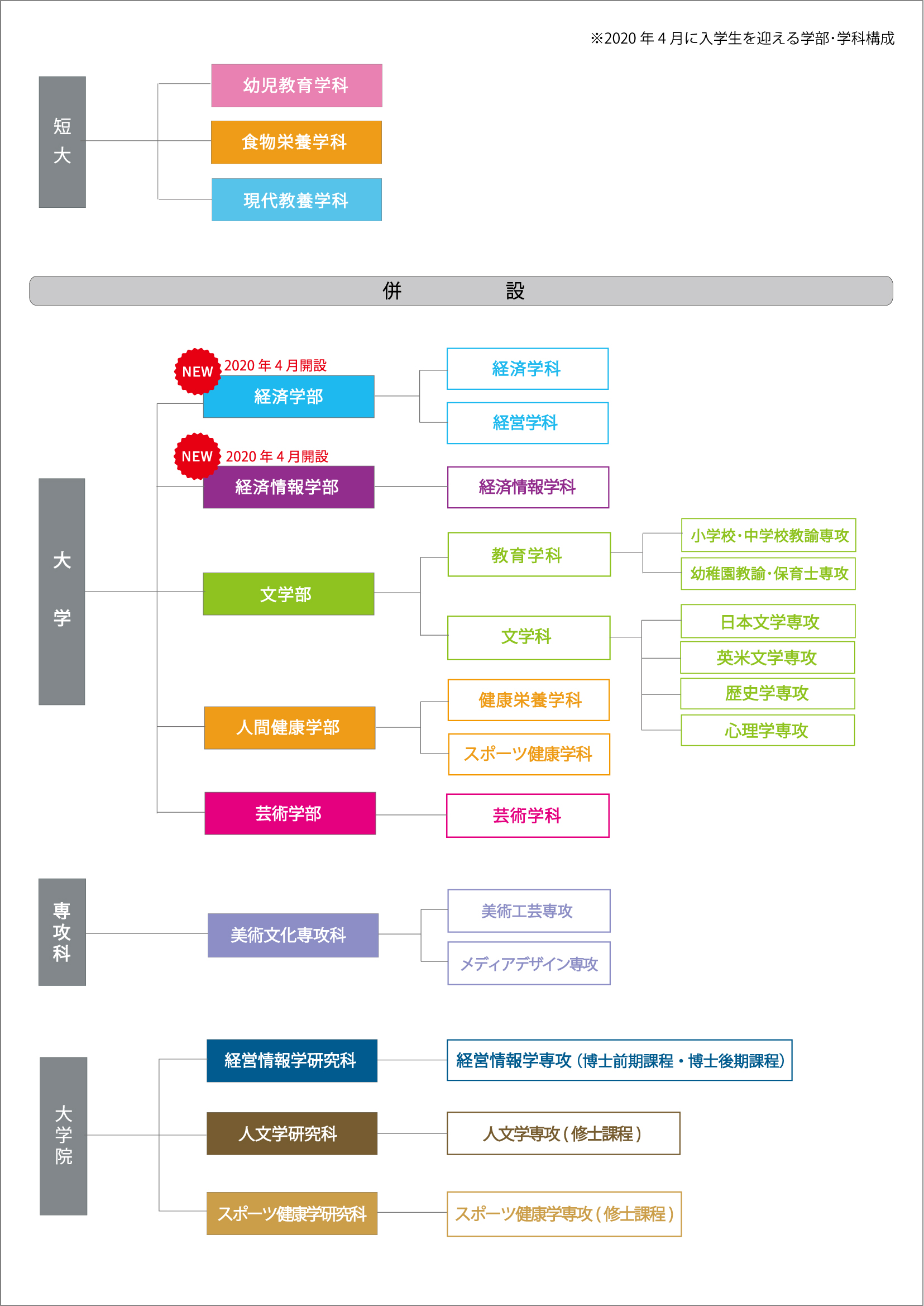 短大_学科構成20190924