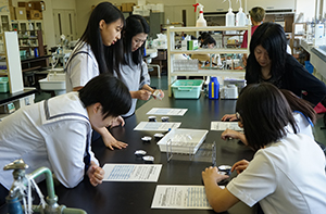 健康栄養学科の体験授業