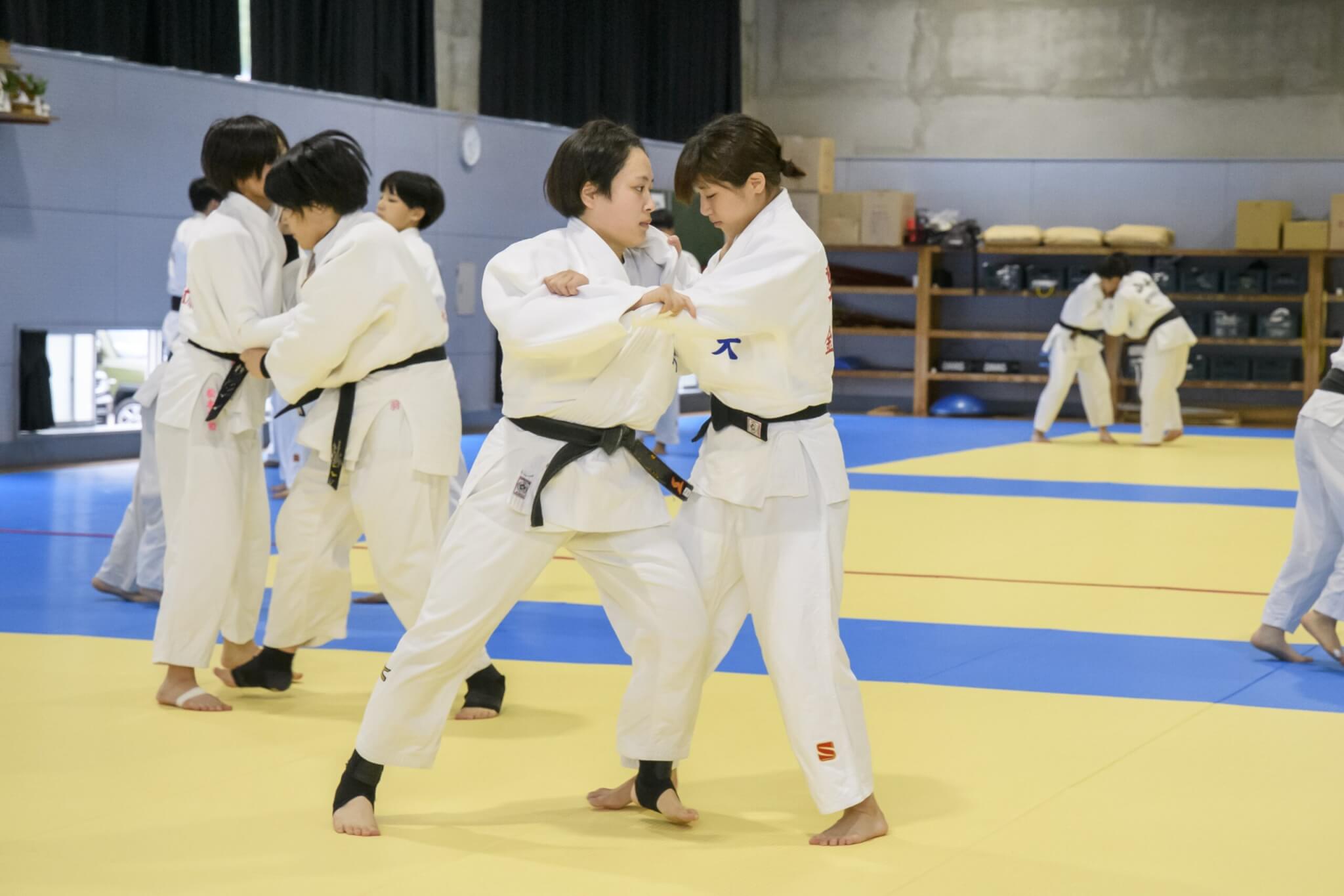 サブカット写真