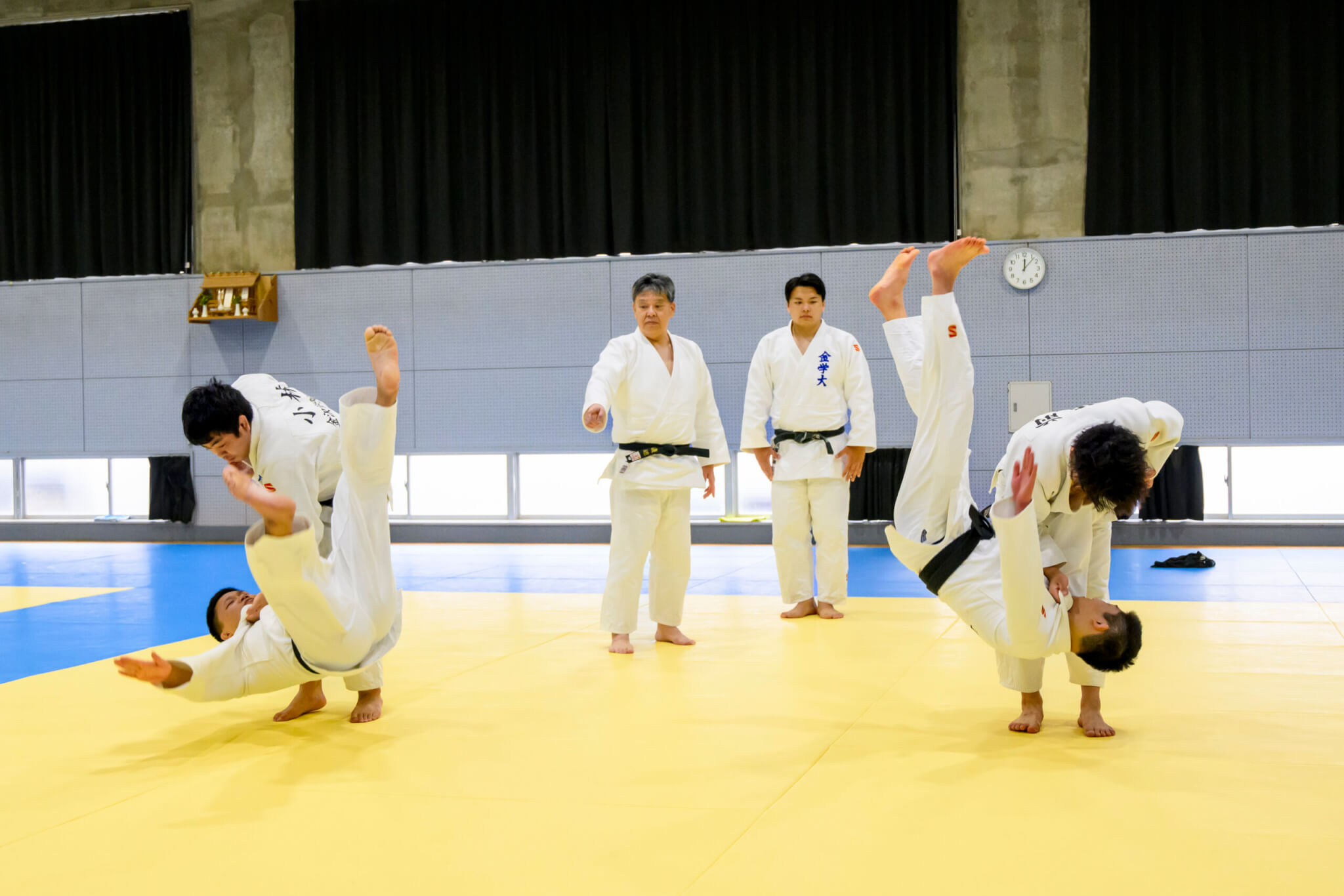 サブカット写真